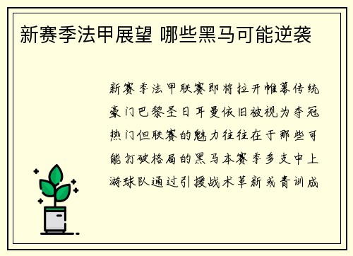 新赛季法甲展望 哪些黑马可能逆袭